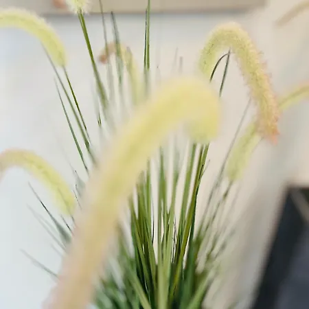 Vilser Gaestehaus Hotel Bruchhausen-Vilsen