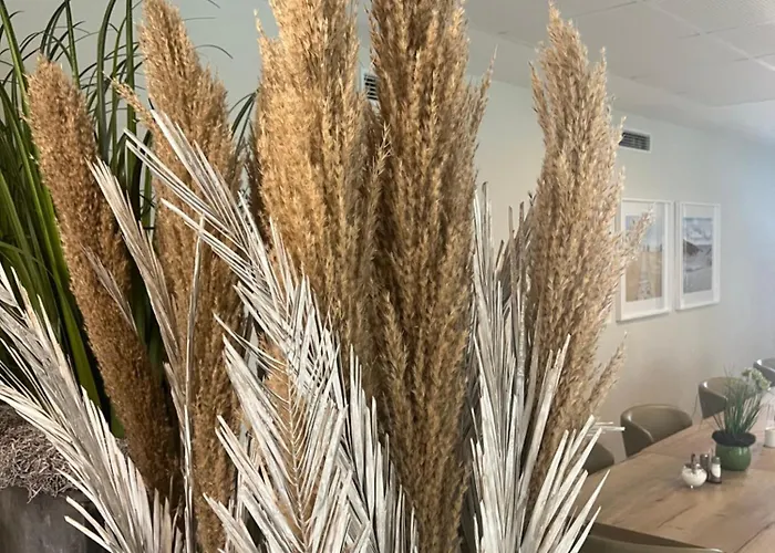 Vilser Bruchhausen-Vilsen