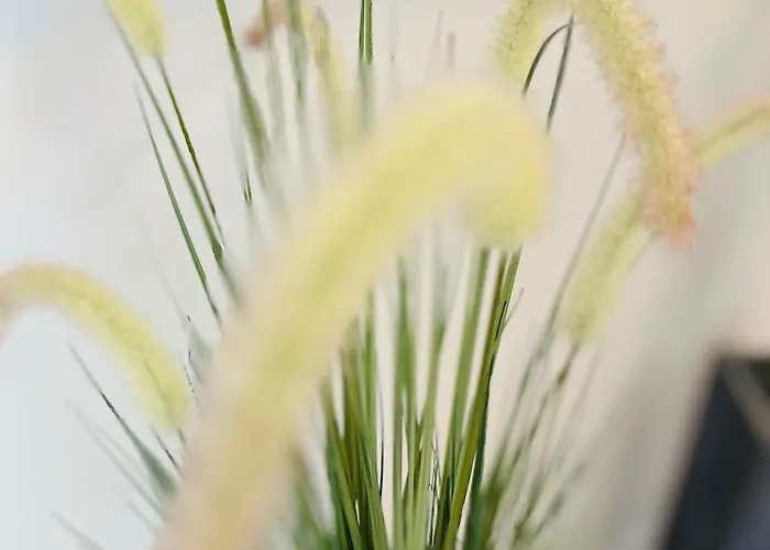 Vilser Hotel Bruchhausen-Vilsen